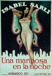 Una mariposa en la noche