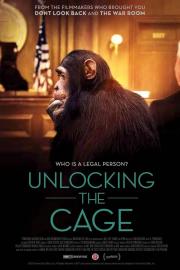 Unlocking the Cage