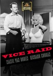 Vice Raid