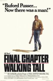 Walking Tall: The Final Chapter