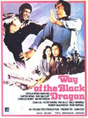 Way of the Black Dragon