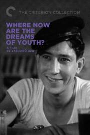 Where Are the Dreams of Youth?