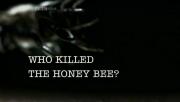 Who Killed the Honey Bee?