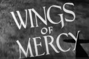 Wings of Mercy