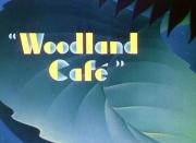 Woodland Café