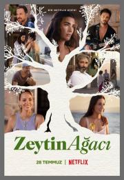 Zeytin Ağacı