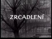 Zrcadlení