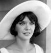 Pamela Franklin