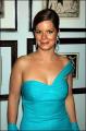 Marcia Gay Harden